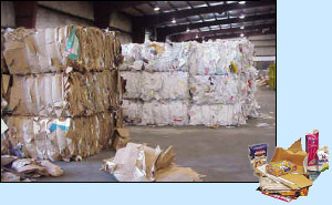 Baled Cardboard and Paper